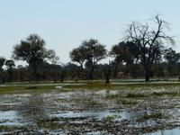 Spaziergang unweit der Mogothlo Lodge