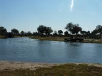 Auf Safari in der Savuti Region