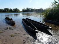 Mokoro-Fahrt auf einem Nebenarm des Okavangos