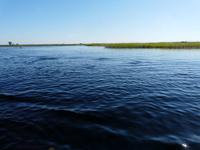 Mokoro-Fahrt auf einem Nebenarm des Okavangos