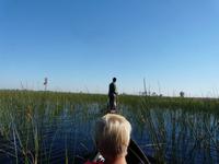 Mokoro-Fahrt auf einem Nebenarm des Okavangos