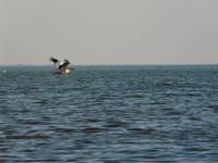 In den Makgadikgadi Salzpfannen
