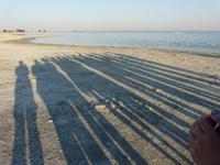 In den Makgadikgadi Salzpfannen