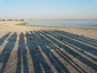 In den Makgadikgadi Salzpfannen