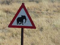 Auf dem Weg nach Hwange