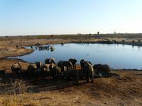 Im Hwange Nationalpark