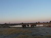 Im Hwange Nationalpark