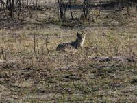 Im Hwange Nationalpark