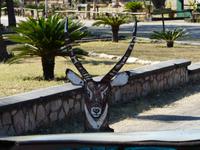 Im Hwange Nationalpark