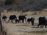 Im Hwange Nationalpark