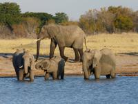 Im Hwange Nationalpark