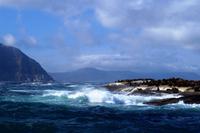 Bootsausflug zur Robbeninsel
