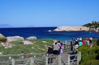 am Boulders Beach