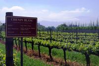 Weingut Boschendal