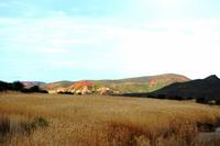 Unterwegs nach Oudtshoorn