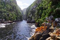 Tsitsikamma Nationalpark