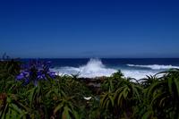 Tsitsikamma Nationalpark