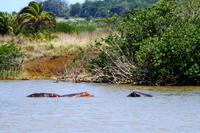 Bootspirsch in St. Lucia