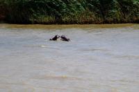 Bootspirsch in St. Lucia