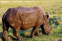 Ausflug nach Cape Vidal