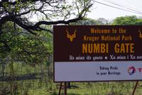 Pirschfahrten im Krüger