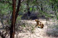 Wo bleiben die anderen denn?