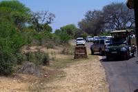 Wir haben uns satt gesehen, jetzt dürfen die anderen!