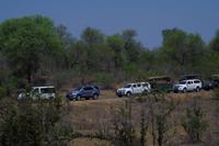 Und die Schlange wird länger