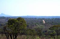 Pirschfahrt im Krüger Nationalpark