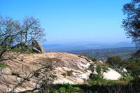 Pirschfahrt im Krüger Nationalpark