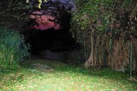 Abends auf Hippo-Trampelpfaden