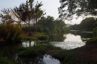 Morgens am Komati Fluss