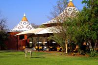 Sambezi Sun Resort mit Zebrababy