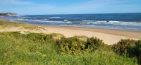 109 am Strand von Wilderness