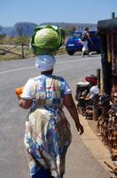 Doppelkopf - Foto von Kathleen