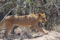 Och wie süss - Foto von Kathleen