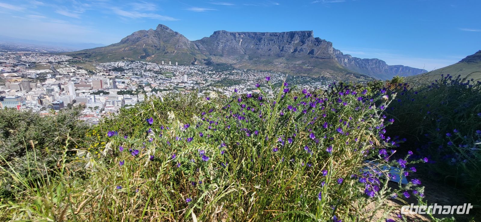 11 Blick auf den Tafelberg
