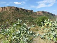 im äthiopischen Hochland