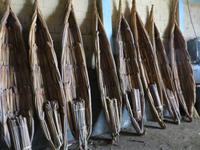 Schilfboote am Tanasee