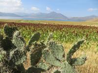 im äthiopischen Hochland