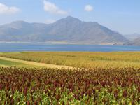 im äthiopischen Hochland