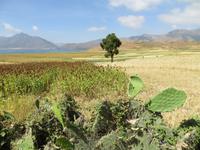 im äthiopischen Hochland