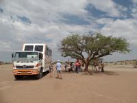 Singlereise Namibia – Picknick beim Köcherbaumwald