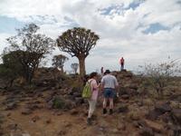 Singlereise Namibia – Köcherbaumwald bei Keetmanshoop