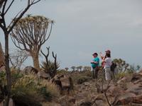 Singlereise Namibia – Köcherbaumwald bei Keetmanshoop