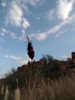 Singlereise Namibia – Giant´s Playground