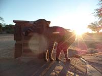 Singlereise Namibia – Canyon Roadhouse am Morgen