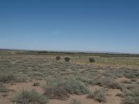 Singlereise Namibia – Trauben- und Weinanbau am Naute Staudamm