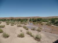 Singlereise Namibia – Spuren am Fish River 