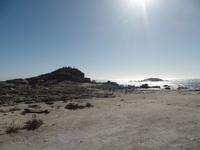 Singlereise Namibia – Diaz Point